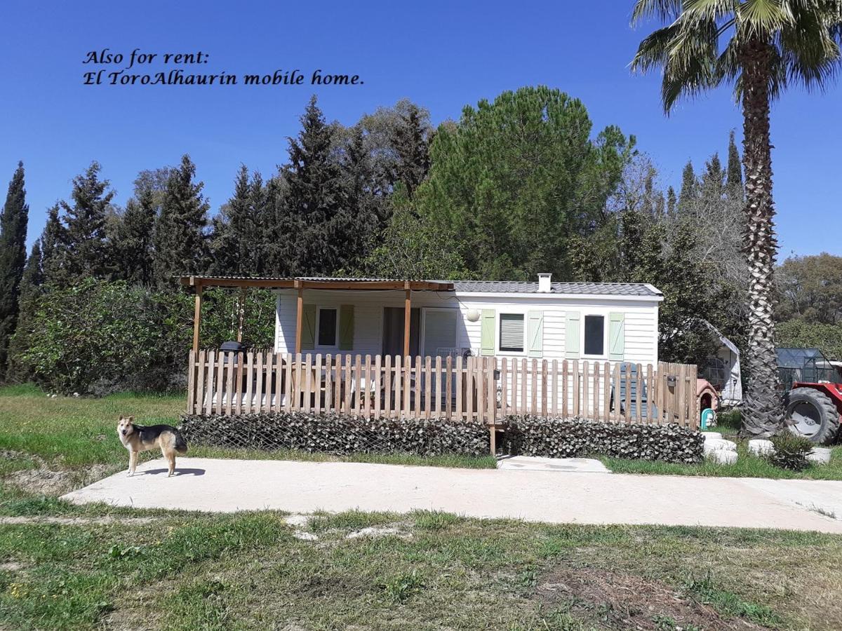 Appartement El Toro Alhaurin Alhaurín el Grande エクステリア 写真